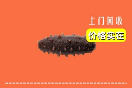 本溪桓仁县回收海参