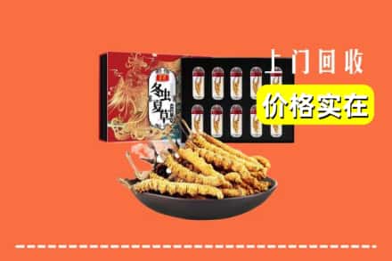 本溪桓仁县回收虫草